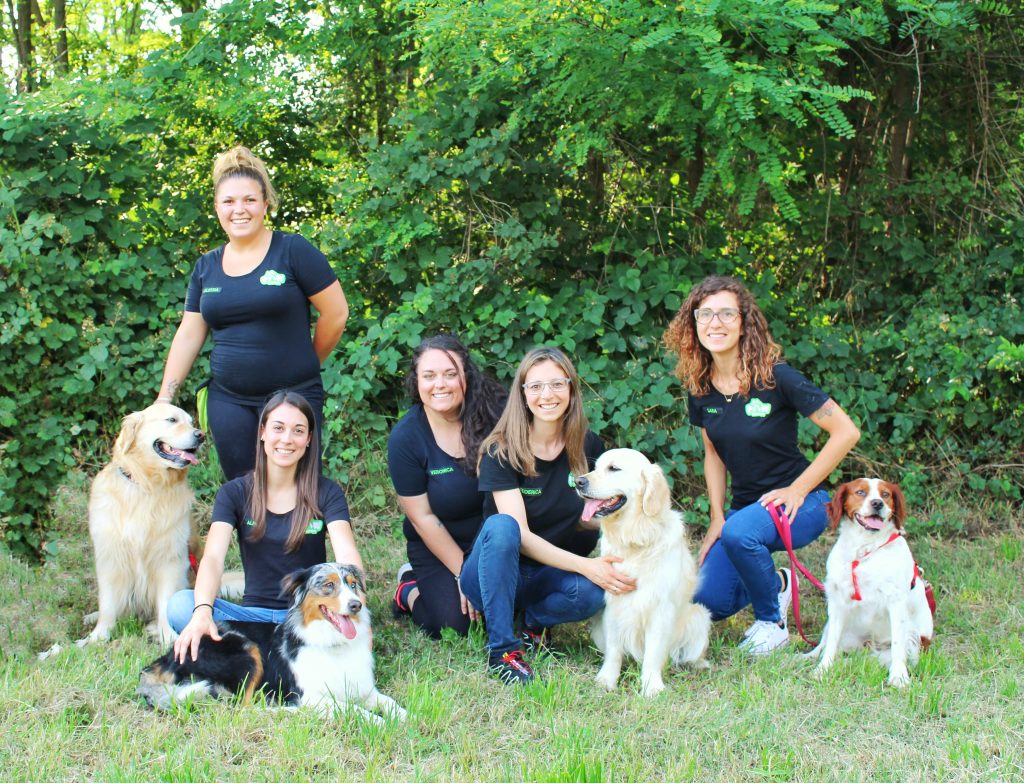 paw therapy team